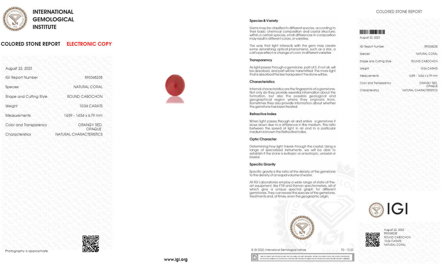 Japanese Red Coral (Moonga) 10.04 Carats