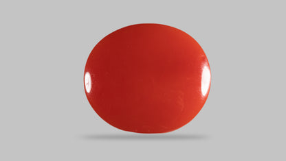 Japanese Red Coral (Moonga) 12.81 Carats