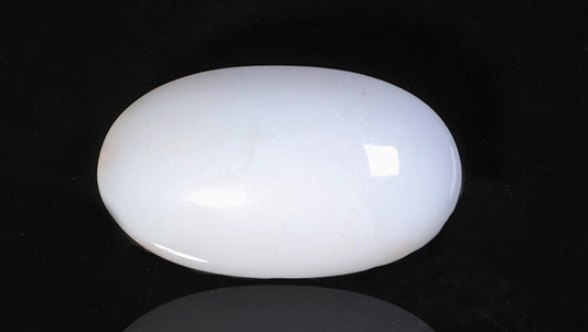 Natural White Coral 9.89 Carats