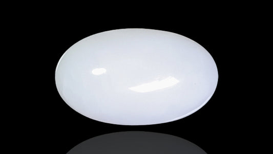 Natural White Coral 11.33 Carats