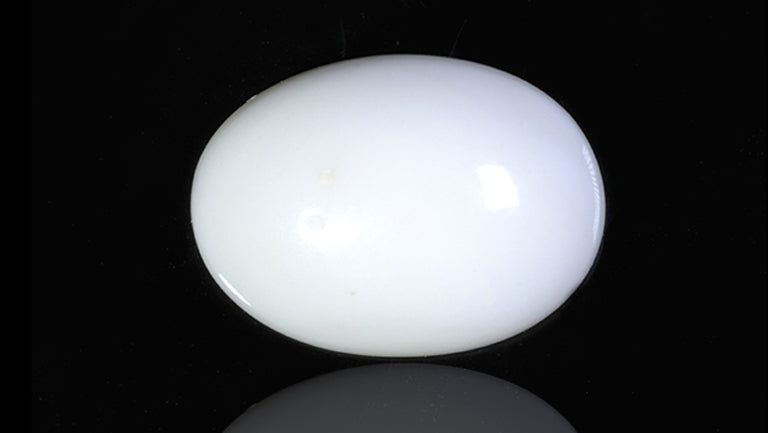 Natural White Coral 8.28 Carats