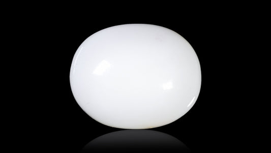 Natural White Coral 12.46 Carats