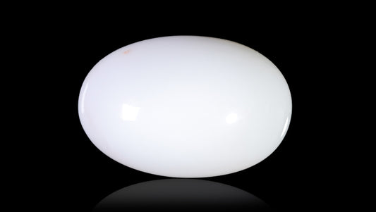 Natural White Coral 15.27 Carats