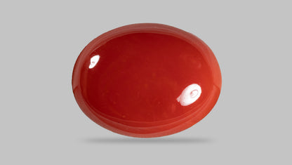 Japanese Red Coral (Moonga) 16.24 Carats