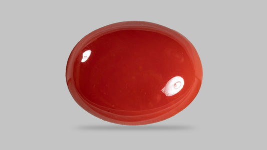 Japanese Red Coral (Moonga) 16.24 Carats