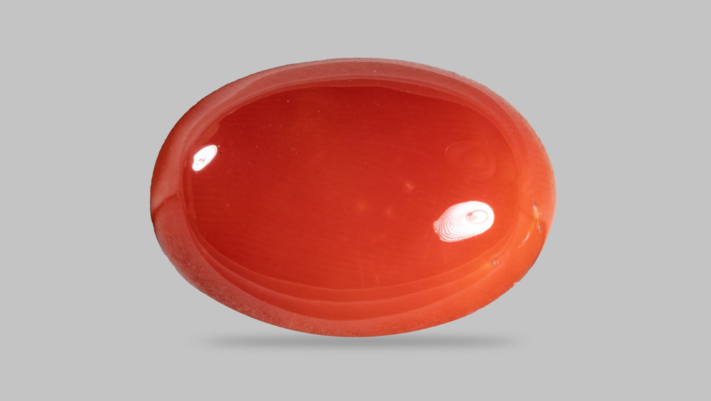 Japanese Red Coral (Moonga) 8.99 Carats