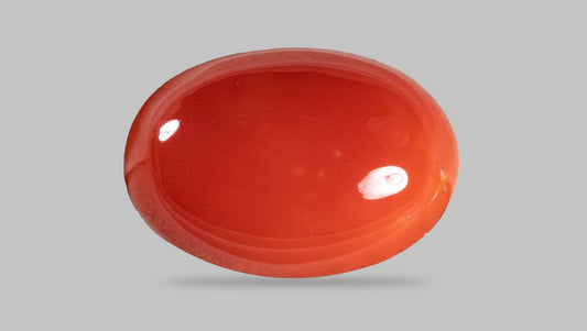 Japanese Red Coral (Moonga) 8.99 Carats