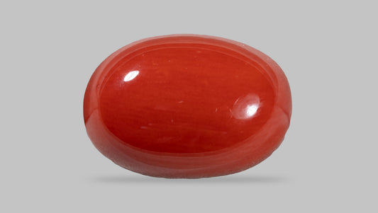 NATURAL RED CORAL (MOONGA) 11.88 CARATS