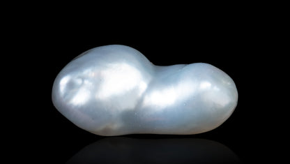 Venezuela Pearl (Moti) 9.69 Carats