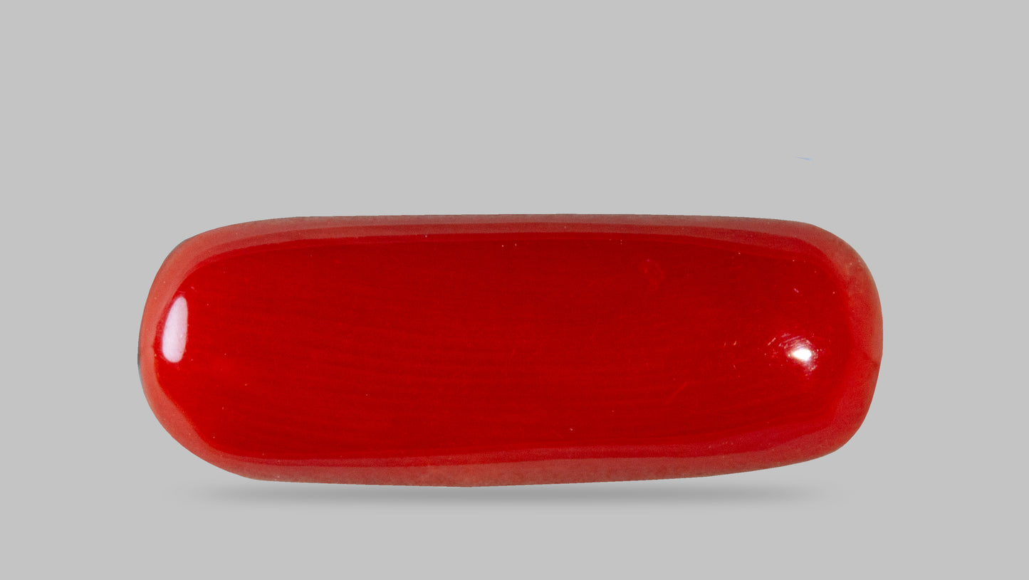 Natural Italian Red Coral (Moonga) 7.87 Carats