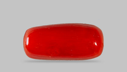 Natural Italian Red Coral (Moonga) 8.65 Carats