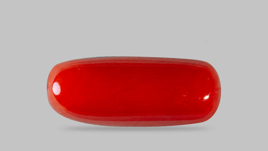 Natural Italian Red Coral (Moonga) 8.40 Carats