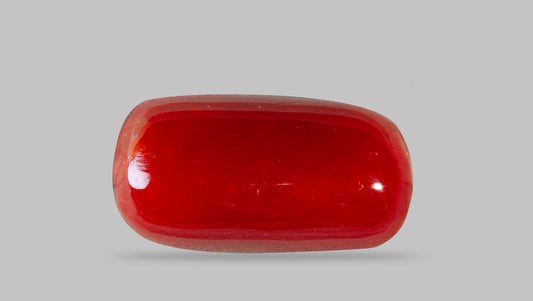 Natural Italian Red Coral (Moonga) 8.24 Carats
