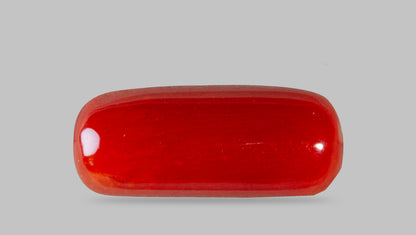 Natural Italian Red Coral (Moonga) 7.61 Carats