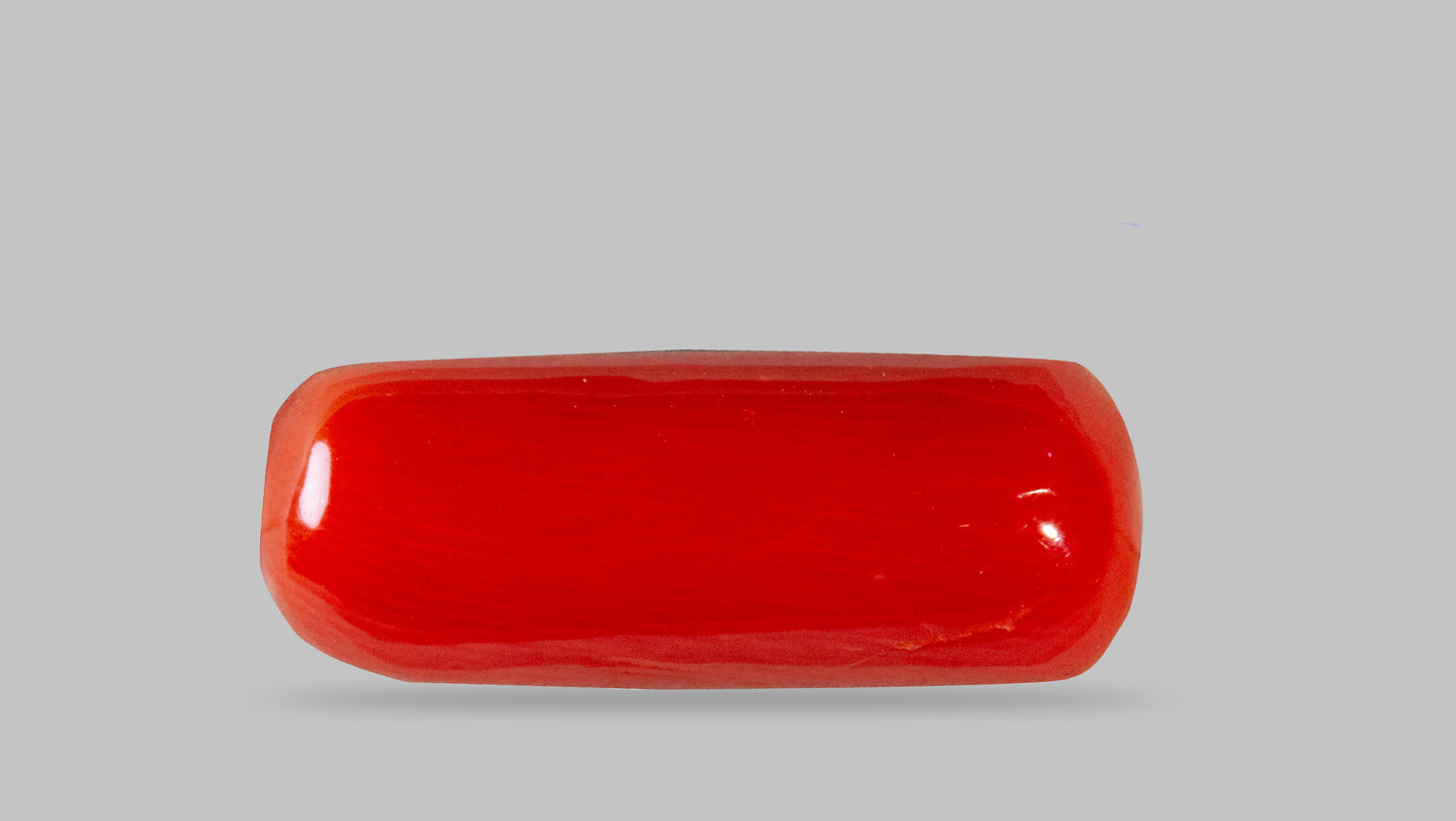 Natural Italian Red Coral (Moonga) 7.62 Carats