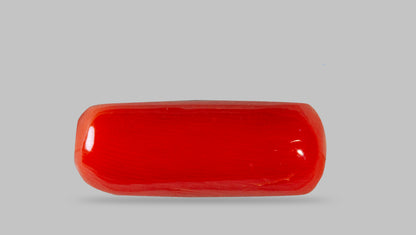 Natural Italian Red Coral (Moonga) 7.62 Carats