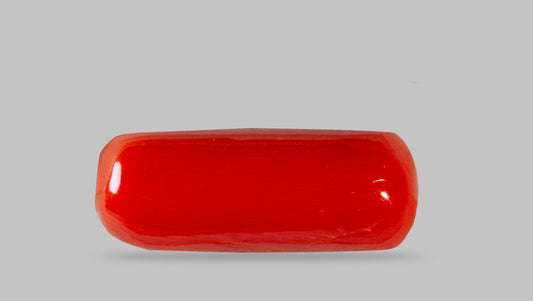 Natural Italian Red Coral (Moonga) 7.62 Carats