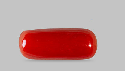 Natural Italian Red Coral (Moonga) 7.65 Carats