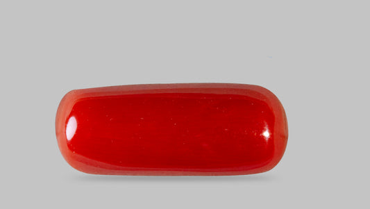 Natural Italian Red Coral (Moonga) 7.65 Carats