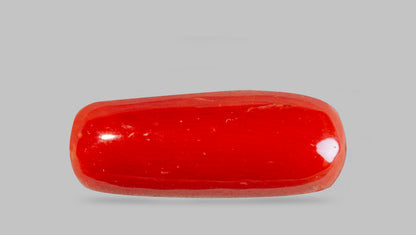 Natural Italian Red Coral (Moonga) 7.71 Carats
