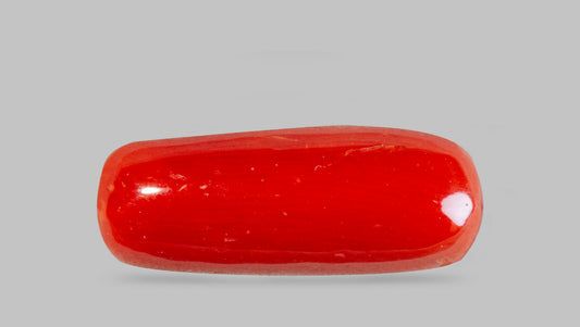 Natural Italian Red Coral (Moonga) 7.71 Carats