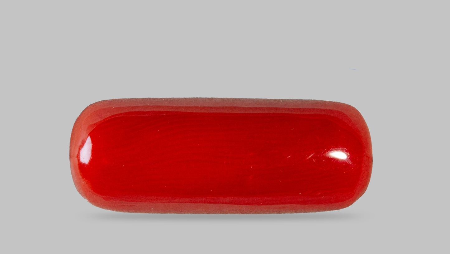 Natural Italian Red Coral (Moonga) 8.40 Carats