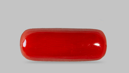 Natural Italian Red Coral (Moonga) 8.40 Carats