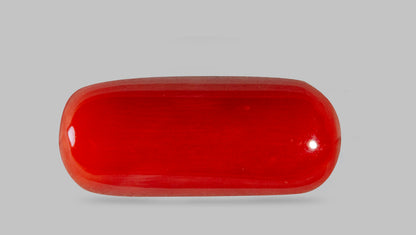 Natural Italian Red Coral (Moonga) 8.28 Carats