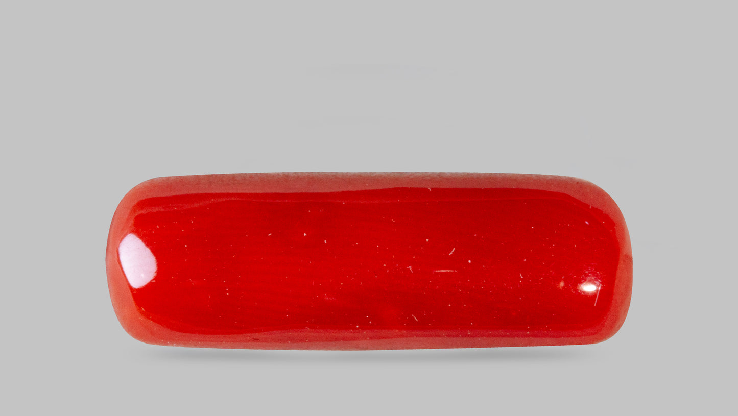 Natural Italian Red Coral (Moonga) 7.69 Carats