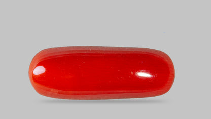 Natural Italian Red Coral (Moonga) 8.81 Carats