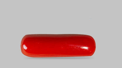 Natural Italian Red Coral (Moonga) 7.19 Carats