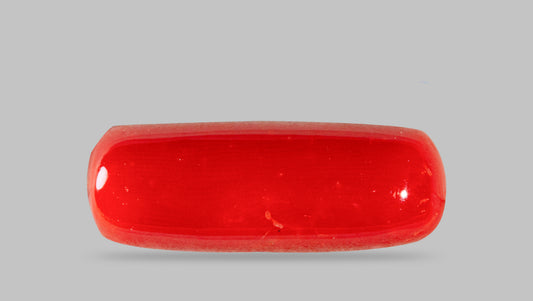 Natural Italian Red Coral (Moonga) 7.88 Carats
