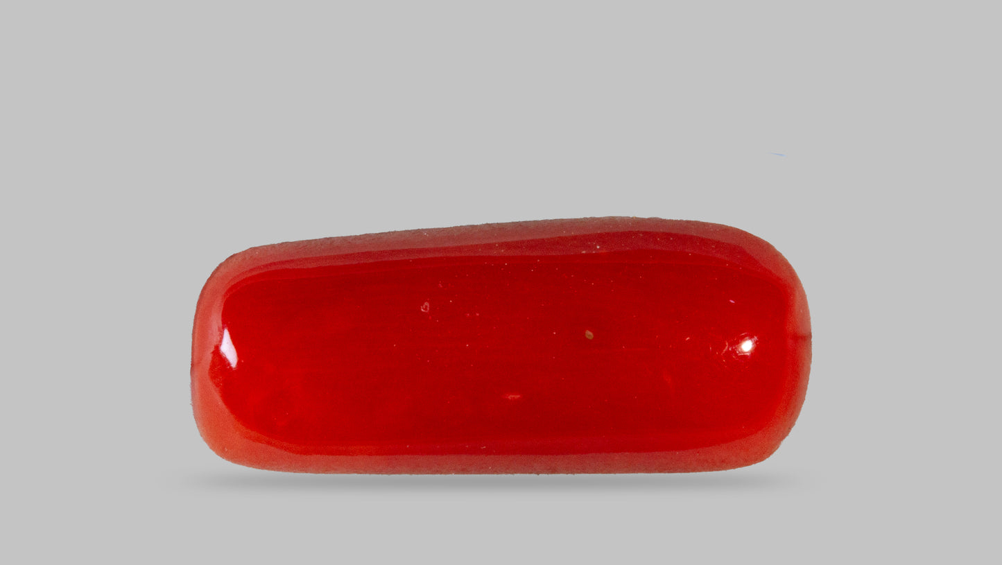 Natural Italian Red Coral (Moonga) 7.06 Carats