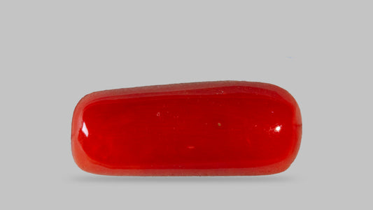 Natural Italian Red Coral (Moonga) 7.06 Carats