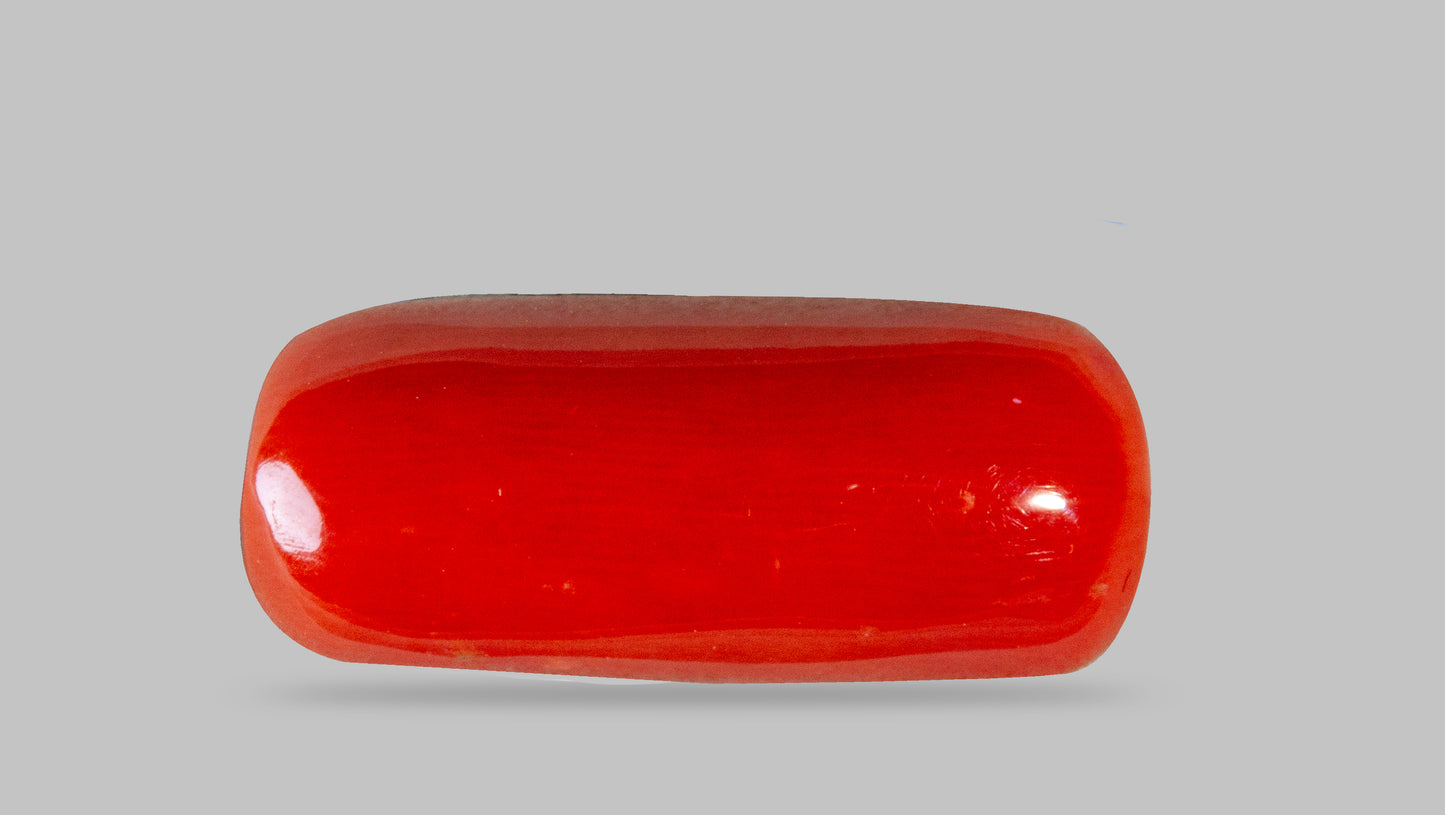 Natural Italian Red Coral (Moonga) 8.40 Carats