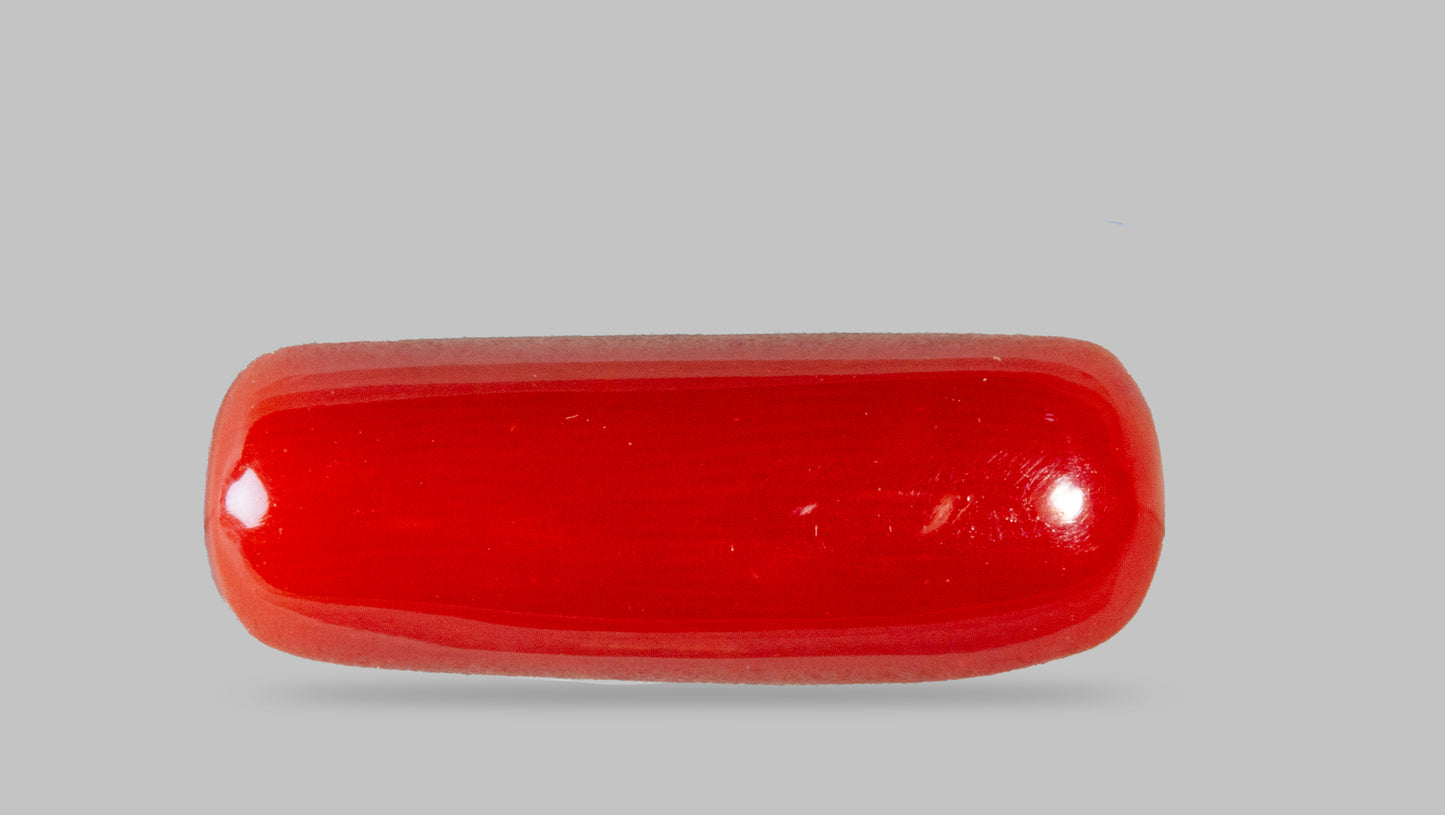 Natural Red Coral (Moonga) 8.53 Carats
