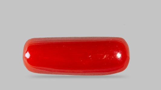 Natural Red Coral (Moonga) 8.53 Carats