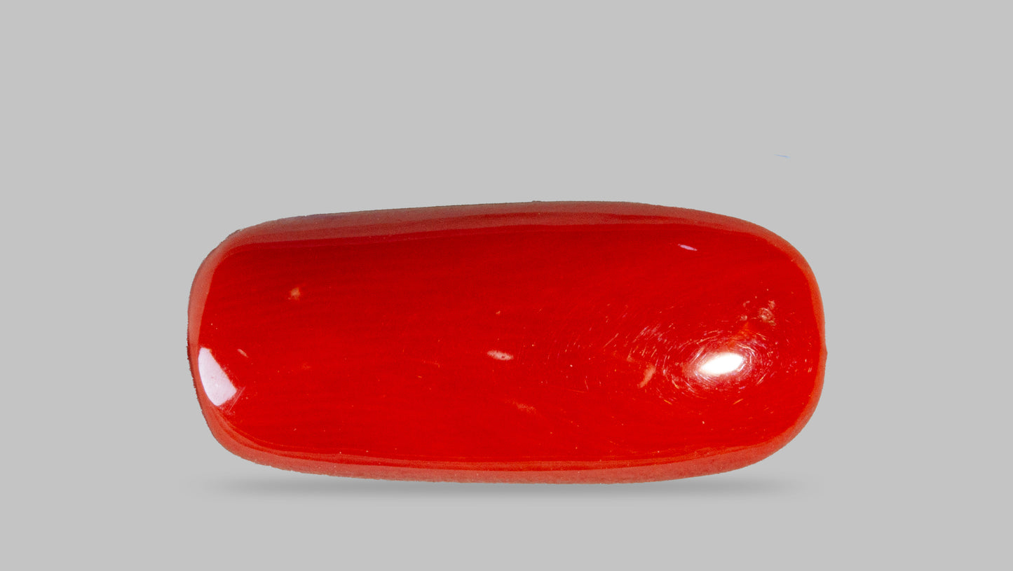 Natural Italian Red Coral (Moonga) 8.68 Carats
