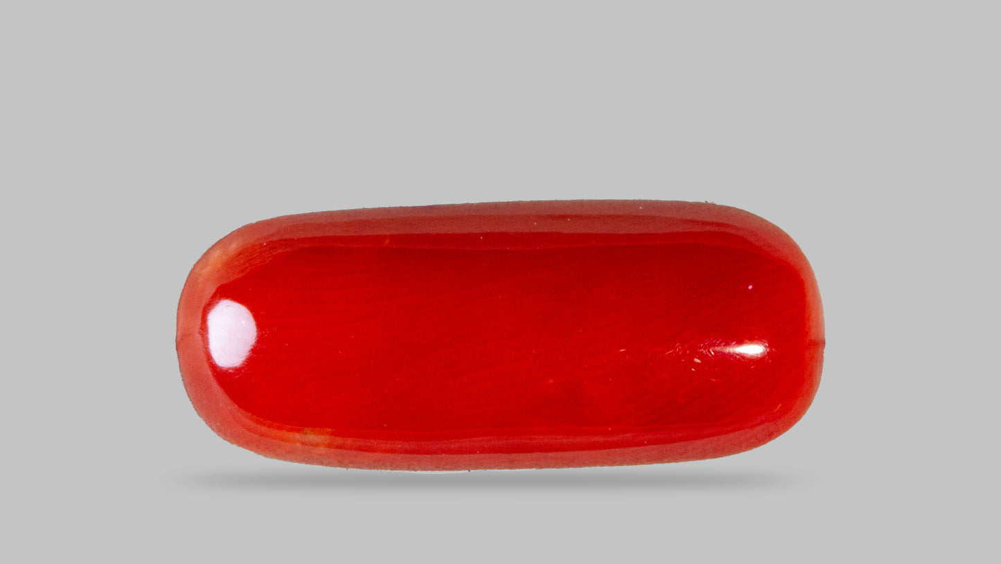 Natural Italian Red Coral (Moonga) 8.07 Carats