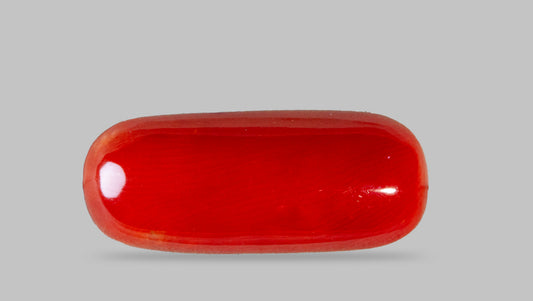 Natural Italian Red Coral (Moonga) 7.73 Carats