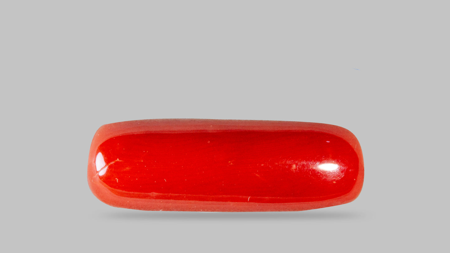 Natural Italian Red Coral (Moonga) 7.29 Carats