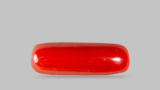Natural Italian Red Coral (Moonga) 7.29 Carats