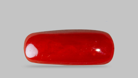 Natural Italian Red Coral (Moonga) 7.82 Carats