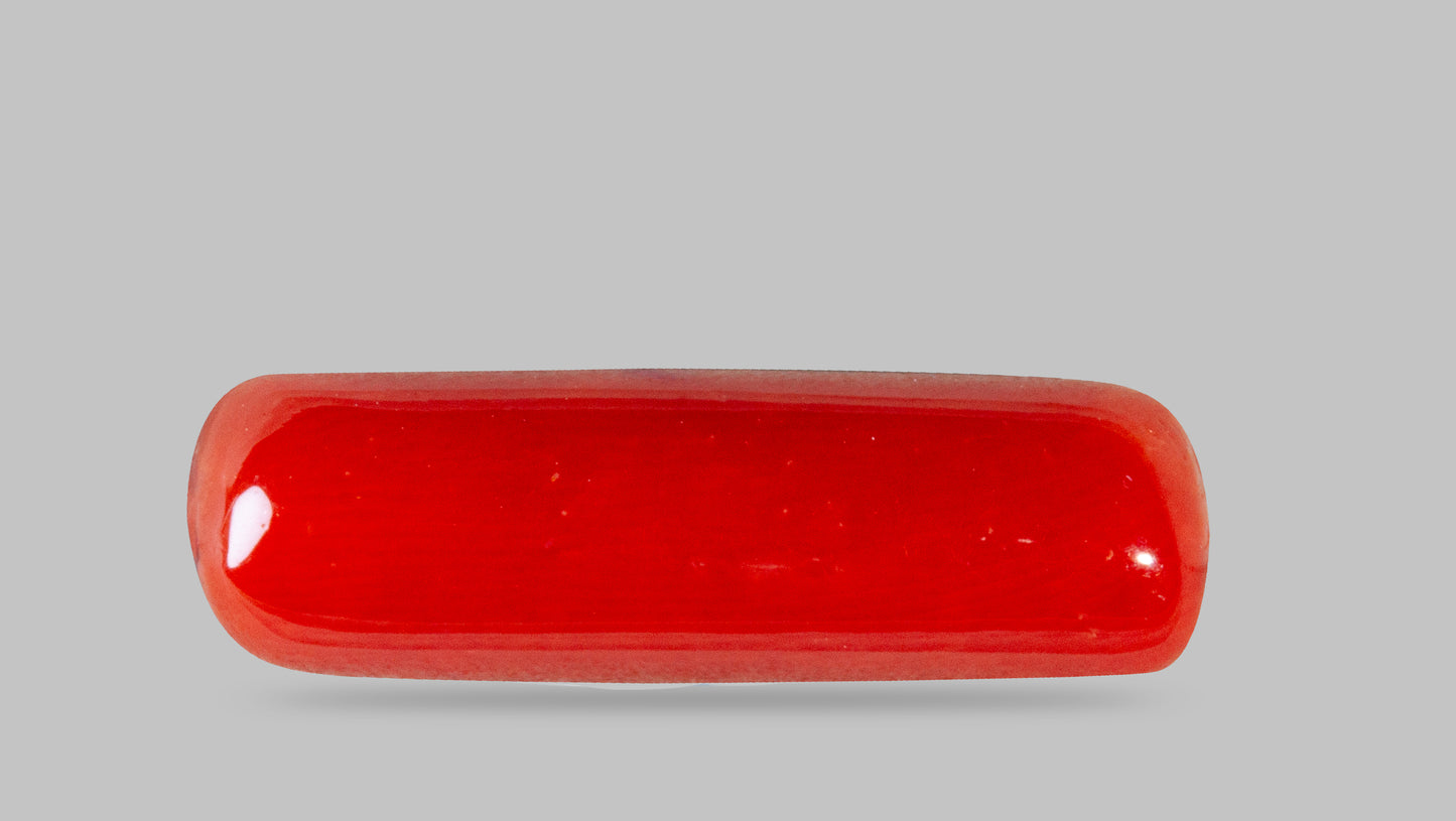 Natural Italian Red Coral (Moonga) 7.01 Carats