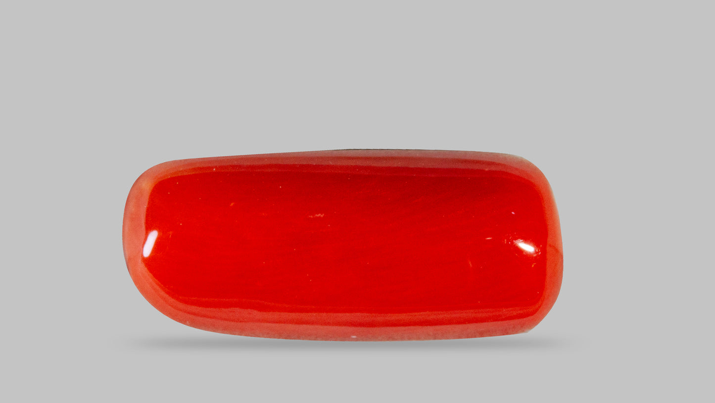 NATURAL RED CORAL (MOONGA) 8.06 CARATS