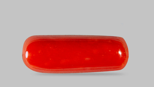 NATURAL RED CORAL (MOONGA) 7.29 CARATS