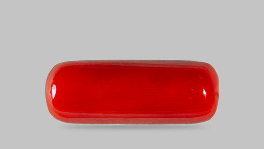 Natural Italian Red Coral (Moonga) 8.46 Carats
