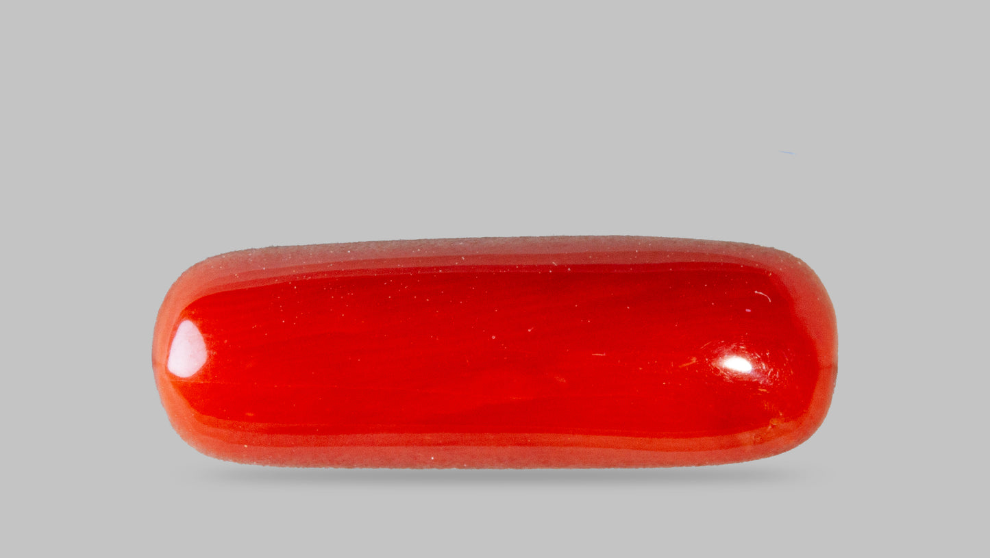 Natural Red Coral (Moonga) 7.50 Carats
