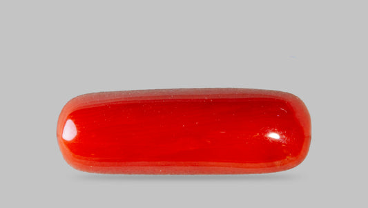 Natural Red Coral (Moonga) 7.50 Carats