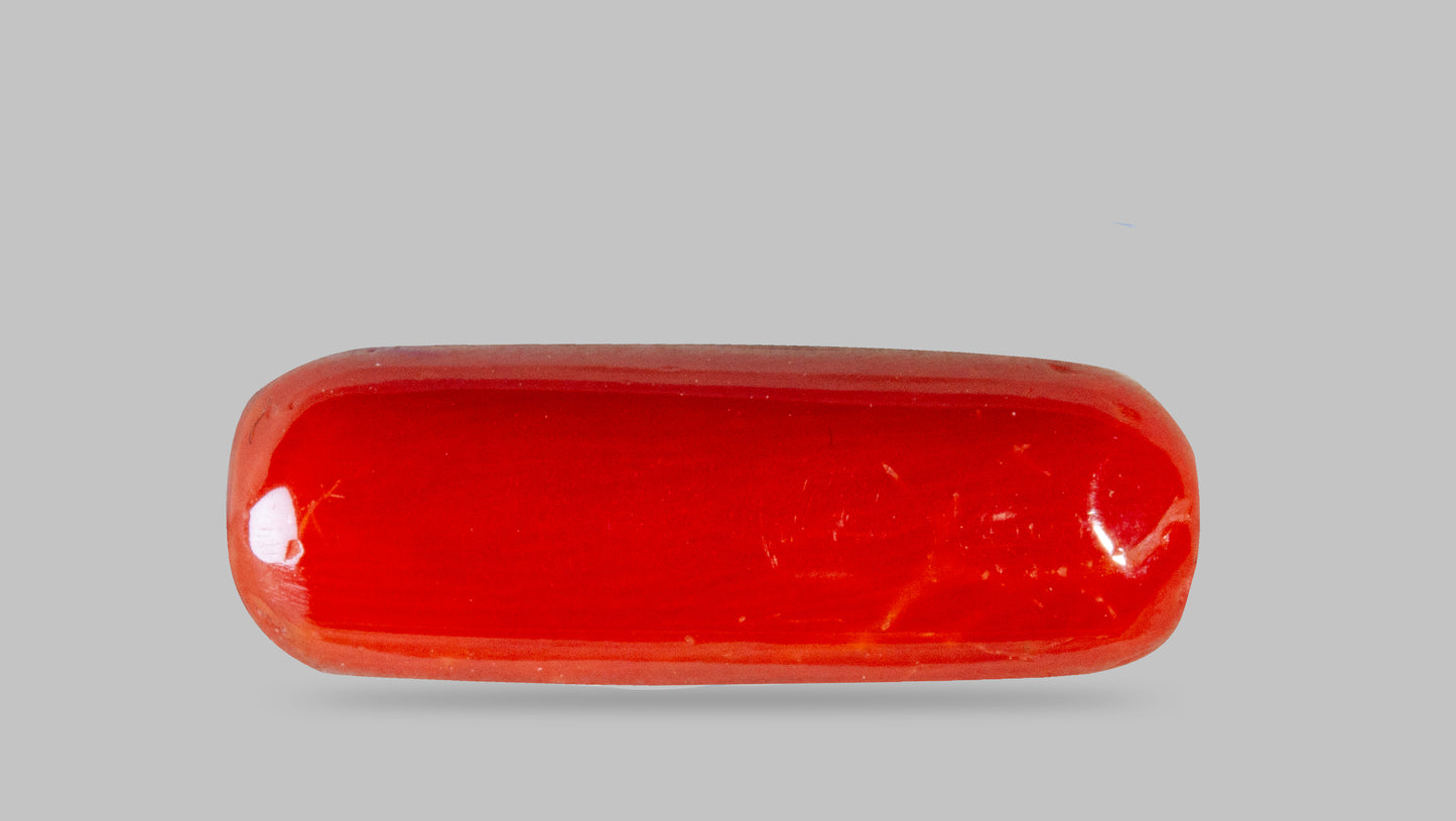 Natural Red Coral (Moonga) 7.06 Carats